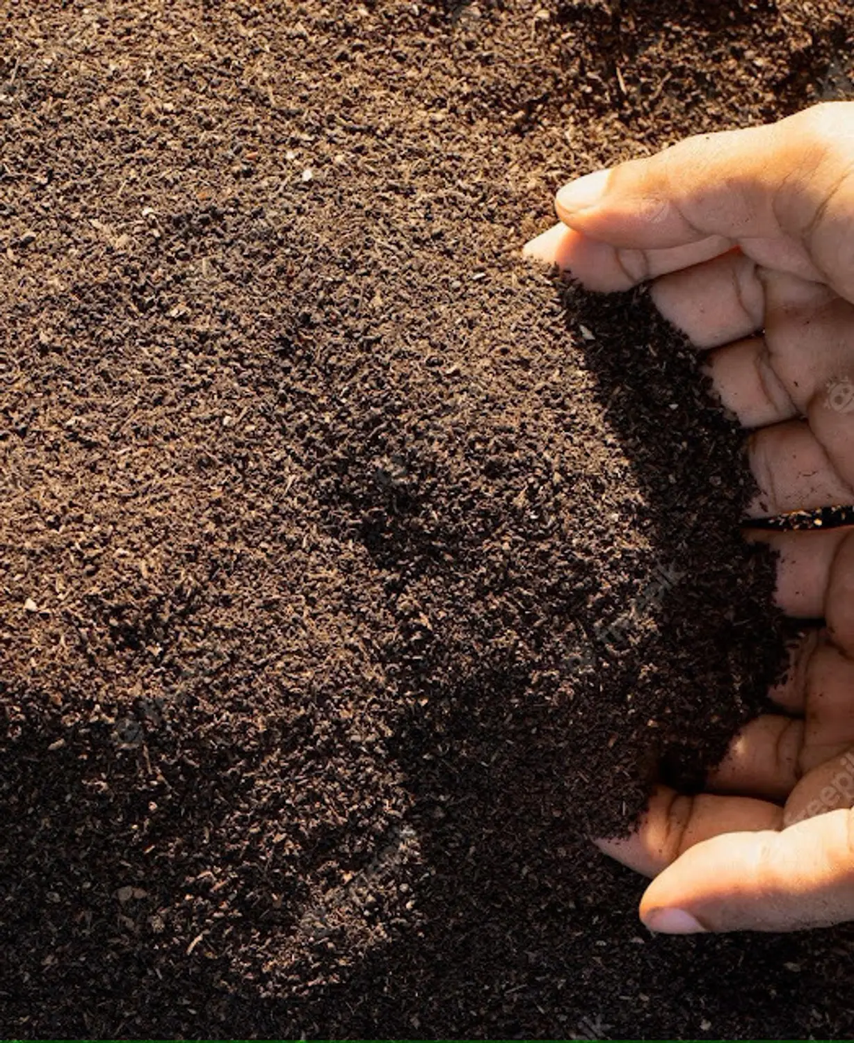 Vermicompost